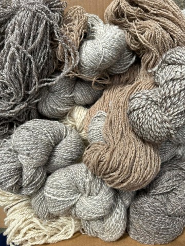 042e443a 4172 43bf b4c5 b9f6b2d71d06