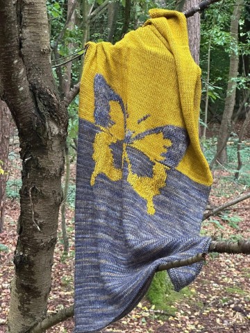 522919238241260884003850227450942608042149030n 1