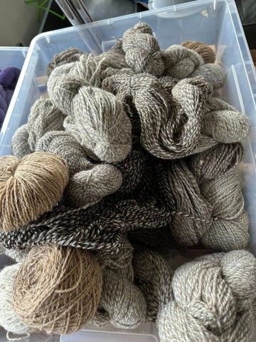 572869850249962859800319225294813305443319720n