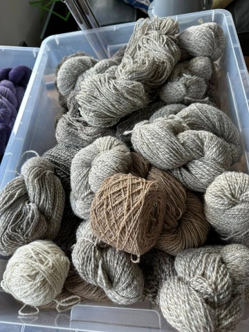 573872144249962859933652545810893768232216206n