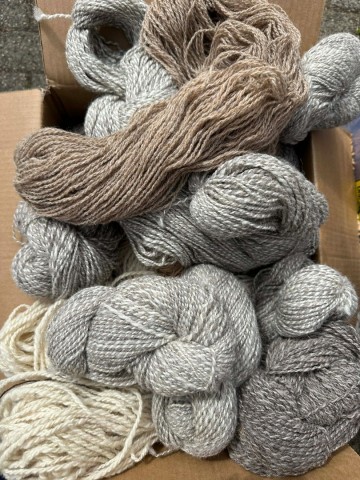 B9796946 999b 4261 89d0 2d6f708c0af7