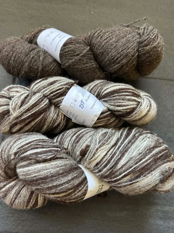 E17b2c9a b5e9 40e5 a333 e3630504413a