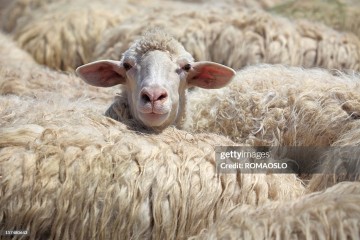 Gettyimages 157480643 1024x1024